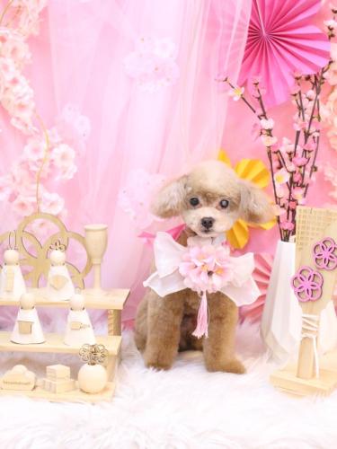 20250328モカくん